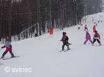 Lyžařský areál na Svinci u Nového Jičína