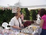 Sousedské slavnosti 2009 - pardubický perník JaJa