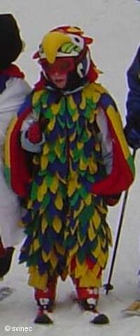 Lyžařský areál na Svinci u Nového Jičína